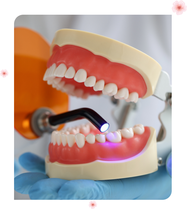 General Dentistry Services Cherry Blossom Dentistry